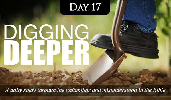 diggingdeeperbanner_day17